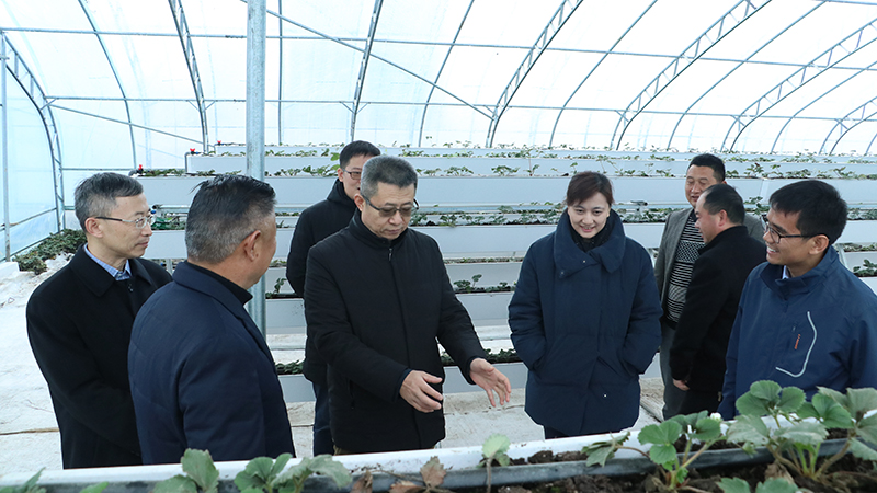 永乐国际·F66(中国游)官方网站